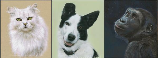 Hi new followers <a href="/susie_kins/">Susan King</a> @enjoywestend <a href="/portlandkent/">Portland Studios</a> See my pet portrait &amp; wildlife art at AnimalSpiritArt.co.uk/petportraitgal…