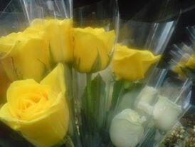 JUALMAWAR's tweet photo. http://t.co/ZMrFBWq5Ud