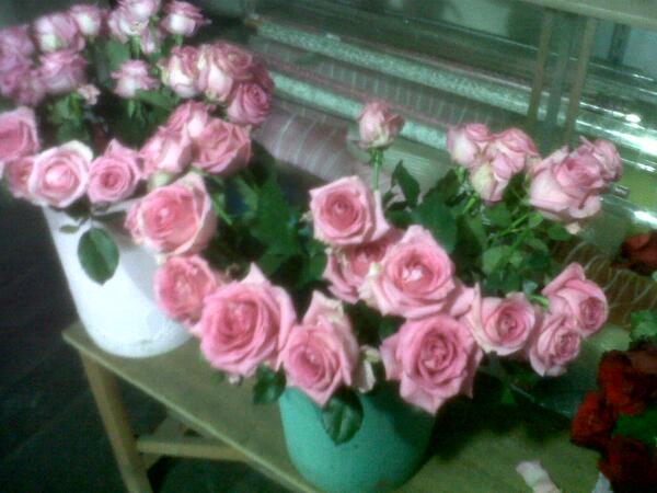 JUALMAWAR's tweet photo. http://t.co/qnPfhb8cw0