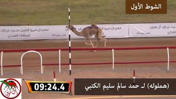 #صورة | #مهرجان_محمد_بن_زايد #ميدان_الذيد #ايذاع 6 كم - الثلاثاء 2014/01/07 #الفترة_الصباحية ش1