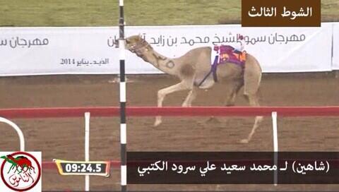 صورة | #مهرجان_محمد_بن_زايد #ميدان_الذيد #ايذاع 6 كم - الثلاثاء 2014/01/07 #الفترة_الصباحية الشوط 3