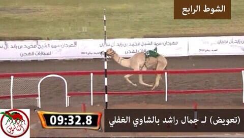 صورة | مهرجان_محمد_بن_زايد #ميدان_الذيد #ايذاع 6 كم - الثلاثاء 2014/01/07 #الفترة_الصباحية الشوط 4