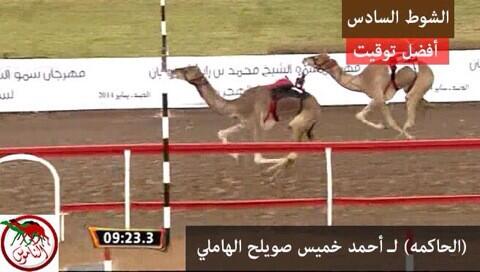صورة | مهرجان_محمد_بن_زايد #ميدان_الذيد ايذاع 6 كم -الثلاثاء 2014/01/07 #الفترة_الصباحية الشوط 6 أفضل_توقيت