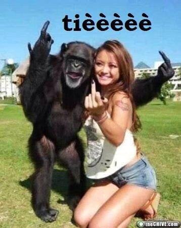 CiroLibano's tweet image. 