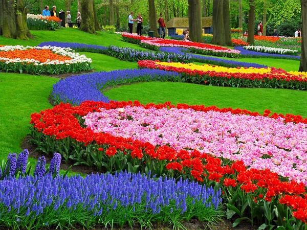 Taman Bunga Keukenhof yang sangat Indah. Keukenhof Gardens adalah dunia taman bunga terbesar di Belanda^_^