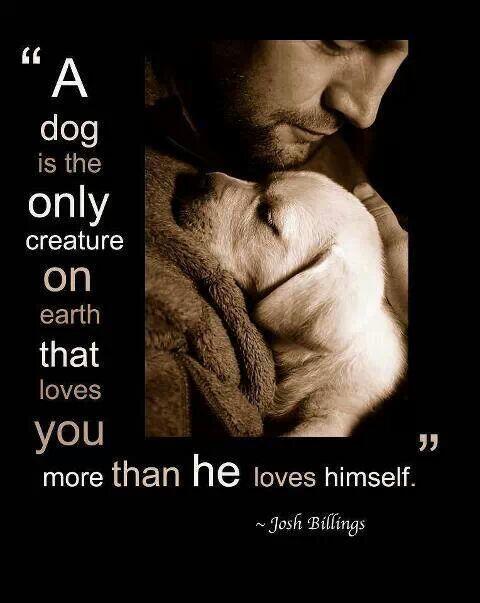 shazmo40's tweet photo. This is so sweet @DogsTrust thought I would share with you because I have a black lab mammys girl ★★★★★ stars. http://t.co/r4FZSsoCsT