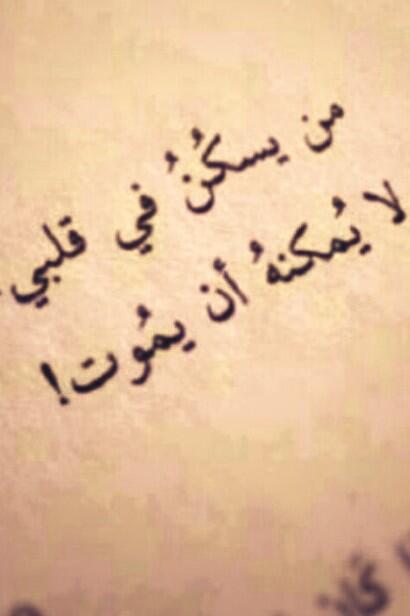 dodeka91 tweet picture