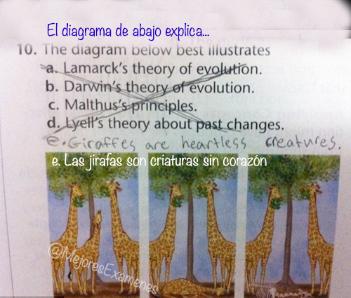 MejoresExamenes's tweet photo. ¡¿PERO COMO DEJAN QUE SE MUERA?! http://t.co/asQkJg2Czo
