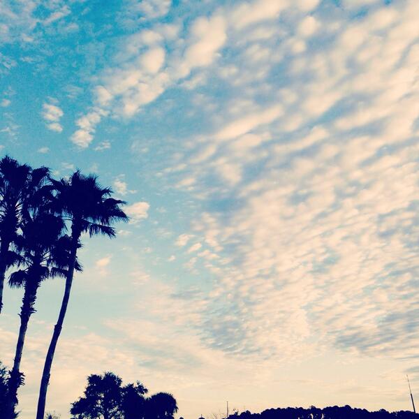 Beautiful (but chilly) last morning in Orlando! <a href="/flytrappromo/">Flytrap Promotional</a> <a href="/TheASIShow/">The ASI Show</a> #ASIOrlando #LetsGetIt