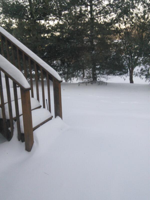 fxben's tweet photo. @PipCzar    St Louis , current temp -5 http://t.co/t4aurpPuQt
