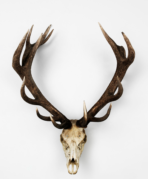 dimensionscf's tweet image. Featuring #artist #annachurch this month. Show date will be announced VERY SOON. #riversideTO #galleries #photography