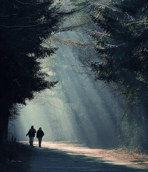 진정한 여행이란 
새로운 풍경을 찾는것이 아니라 
새로운 눈을 가지는 것이다. 
-마르셸 프루스트-