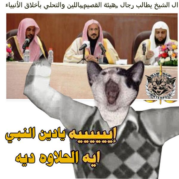 catspolicy tweet picture