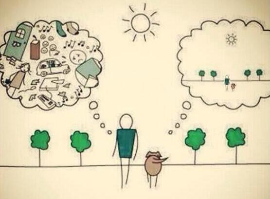 NatuPictures's tweet photo. Por qué tu perro es más feliz que tú. http://t.co/i97u3iZAcw