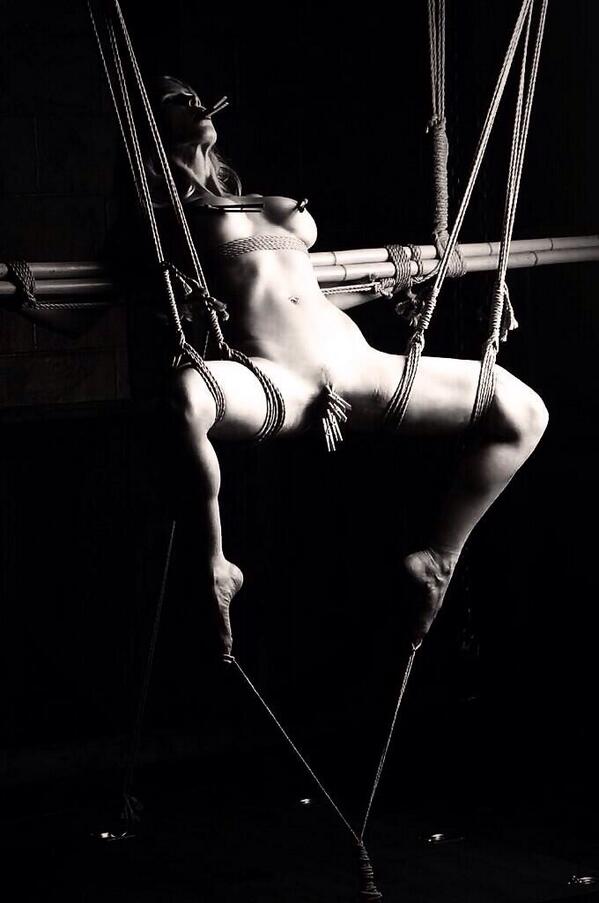 mistersmilie's tweet photo. @Porn_christine @sez1108 @PPPointersSS @tme_7 @Tat2Haze @R_sidney_V @swe_girl @welshsamurai1 @timwillard69 http://t.co/fKzxyZVmdg