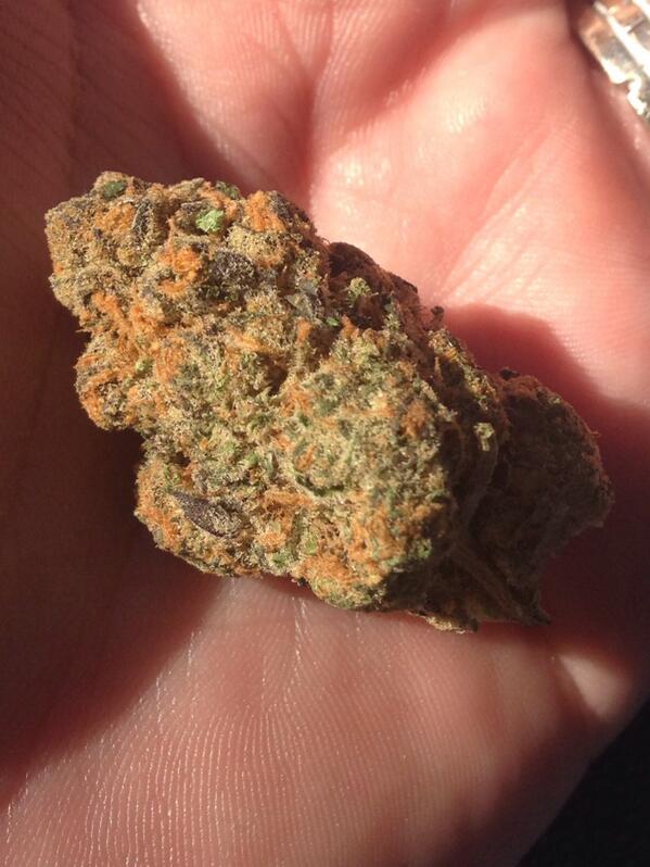 TopShelfFlipper's tweet image. Cooks up close