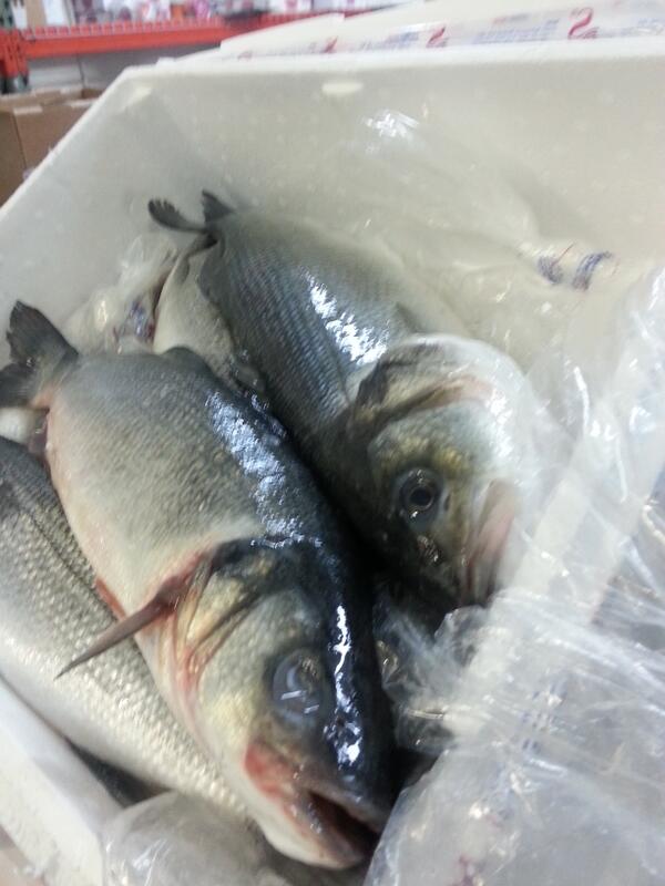 Happy new year..... we can now get 2-2.5 loup di mare / branzino pre-order from Europe....