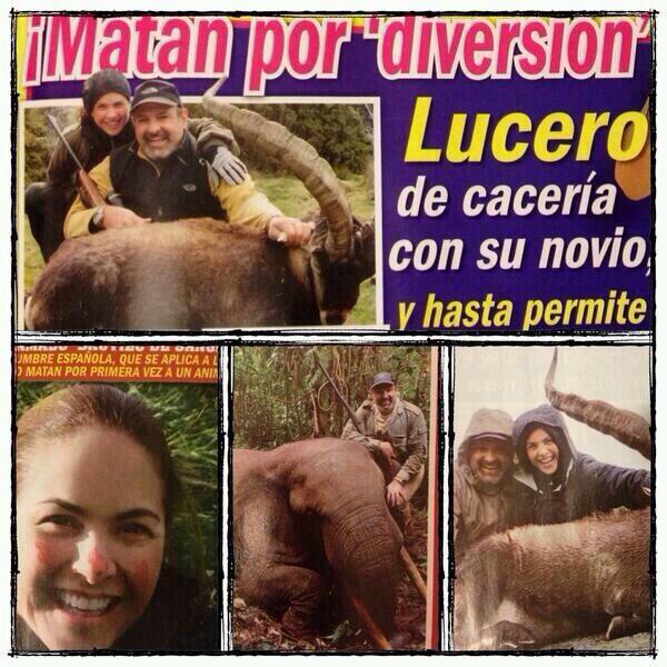 NetasMx's tweet photo. Para los idiotas que aún creen en la bondad de Lucerito > #LuceroAsesina #TeMatoComoLucero Sigan donando al teletón! http://t.co/bTjRgbqXTx