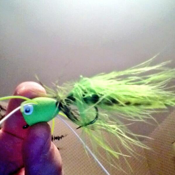Great popper for big bass