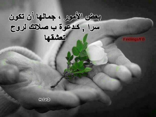 yousevsa1a's tweet photo. http://t.co/tIqGGYy5sc