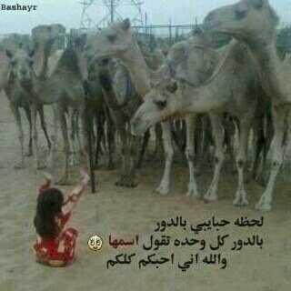 yousevsa1a's tweet photo. http://t.co/DtaBJD71SR