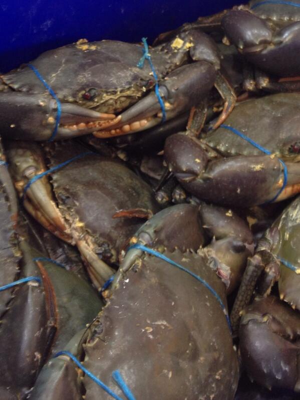 ennis_le's tweet photo. @dandeliondining great weather for finger licking. Go crab!!!! Crab night tonight. #42c today. Summer seafood http://t.co/Atql4fpcw8