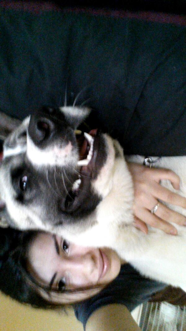 OnlySamieG's tweet photo. My oversized puppy and I watching #PLLmarathon http://t.co/BUSf7fwTrH