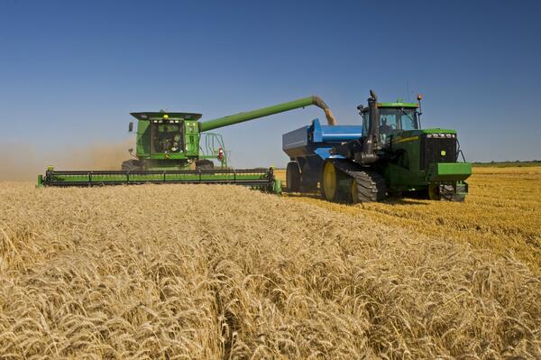 Le GC investit pour offrir plus de débouchés aux producteurs de #blédhiver. #AgCan bit.ly/1dPsyn2