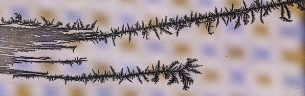 AetherTapTweets's tweet photo. straight lines branching off into #infinity http://t.co/ibzTeeFLUq