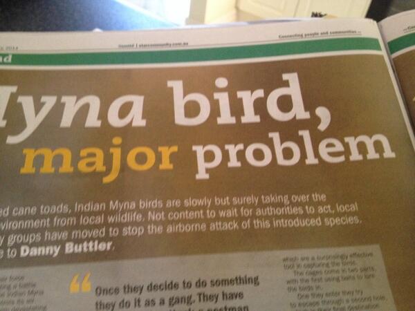 dRoy's tweet image. @kayil_23 @rumballz @bjsteel @a_jukic @OhBWhy @Urimbirra @sonsieau #majorproblems in the local paper.