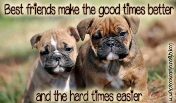 megancoetzee16's tweet photo. @amybarkhuizen and @KAYlaKURten1 xxxx http://t.co/B2oEf14KL8