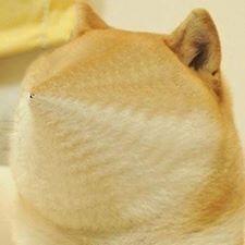 DogeBrasil's tweet photo. face

       muito pequena

 tao swag http://t.co/8huYpWkRXt