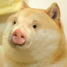 DogeBrasil's tweet photo. muito roinc
       lama
                                 chupe bacon
                    wow http://t.co/5fkckLlQ76