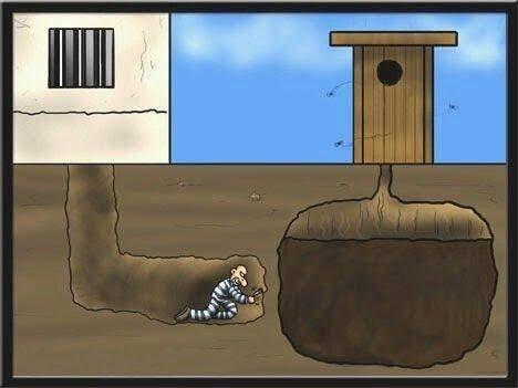 wowthatsbad's tweet photo. Just when you thought you had it all figured out! #wowthatsbad #poopselfie http://t.co/WmVHWP8sH6