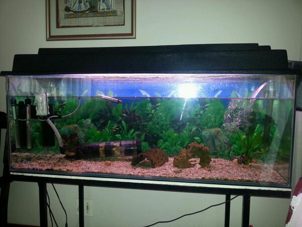 O yes what a new beginning . Its nice and relaxing