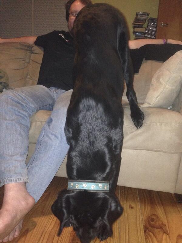 SpudMe21's tweet photo. #howdoicouch #zorro http://t.co/6ys0bOdBK9
