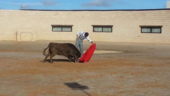El Maestro David Mora tentando en la ganadería Valdencinas (Finca la Morera) un gran matador de toros y mejor persona