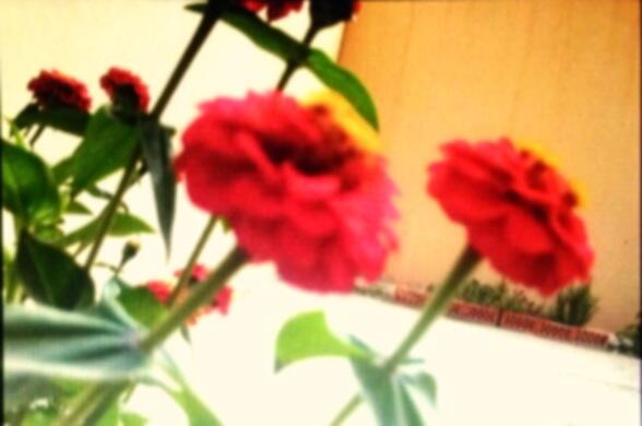 mo7trrfh's tweet photo. #عدستي 

#تصويري http://t.co/6h6q3IQhhf