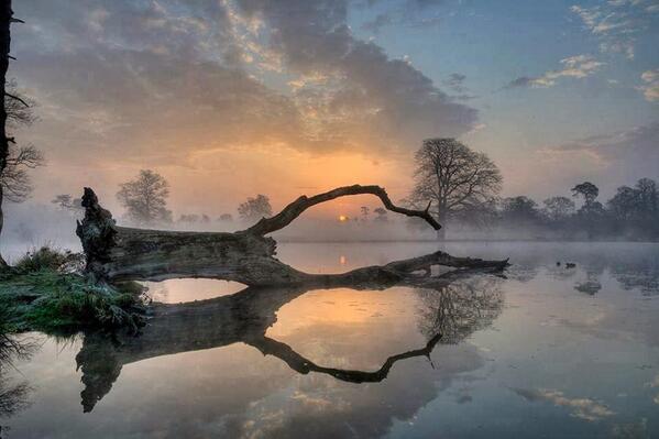 Gabriele_Corno's tweet photo. Langley Park, Buckinghamshire County Council, UK http://t.co/1uTK705gNp