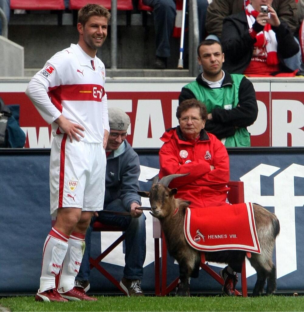 Lukas Podolski Com Brave And Right Decision Respect Thomas Hitzlsperger His Outing Is A Important Sign In Our Time Http T Co C69oml2ocp Lukas Podolski Com Brave And Right Decision Respect Thomas Hitzlsperger His Outing Is A Important Sign In Our Time Http T Co C69oml2ocp