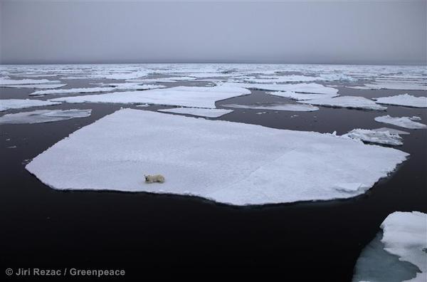 Greenpeace's tweet photo. Almost 5 million people voiced their support for the #Arctic. Join them: http://t.co/wFdrvedL1g #SaveTheArctic http://t.co/vJgCuVvgt8