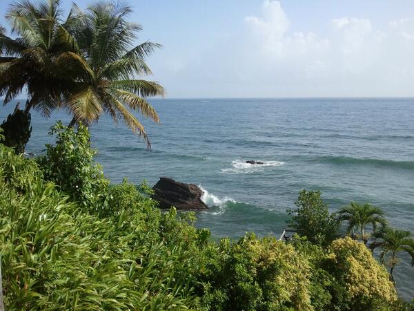 beherevirtually's tweet image. A sunny morning in #Blanchisseuse on the north coast of #Trinidad! Live vicariously through us &amp;amp; #beherevirtually