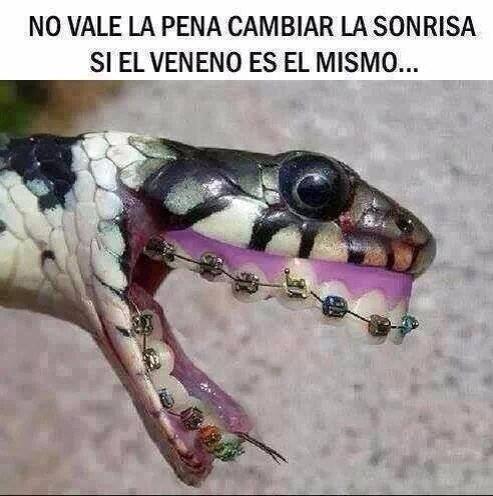 demiati's tweet photo. No vale la pena... http://t.co/CRrBqiwWLc