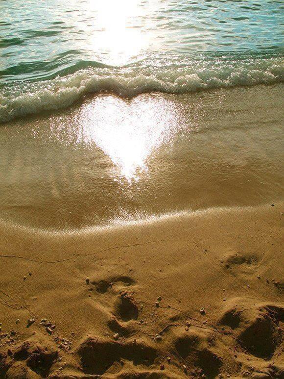 rybotics's tweet photo. Nature's Art http://t.co/ZEcyMq5BoO