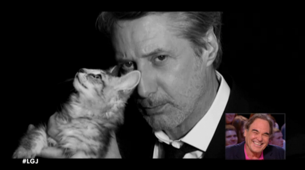 canalplus's tweet photo. La conspiration des chatons : Oubliez les chatons mignons &amp; ouvrez les yeux > http://t.co/5E5t1GKNOc @antoinedecaune1 http://t.co/VnC7ljspe7