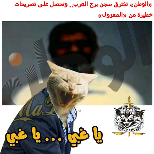 catspolicy tweet picture