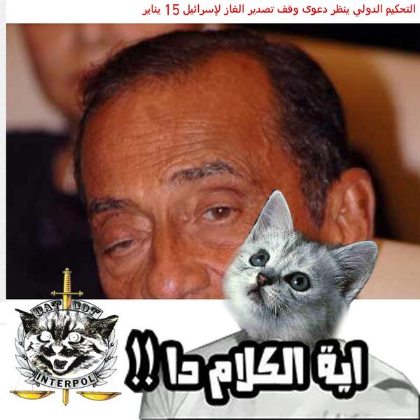 catspolicy tweet picture