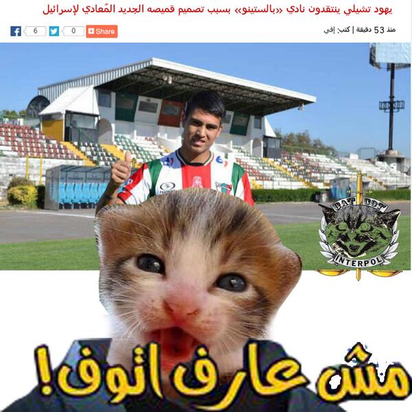 catspolicy tweet picture