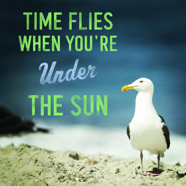 Shelfshop's tweet image. shelfshop.ru