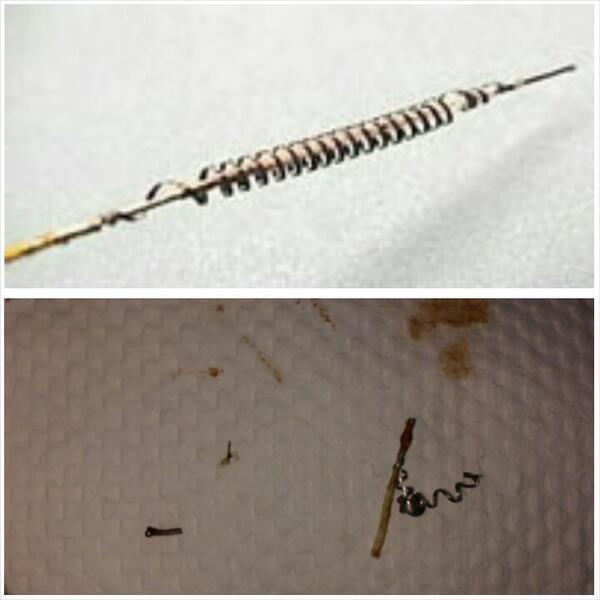 Katie Reader tweet media